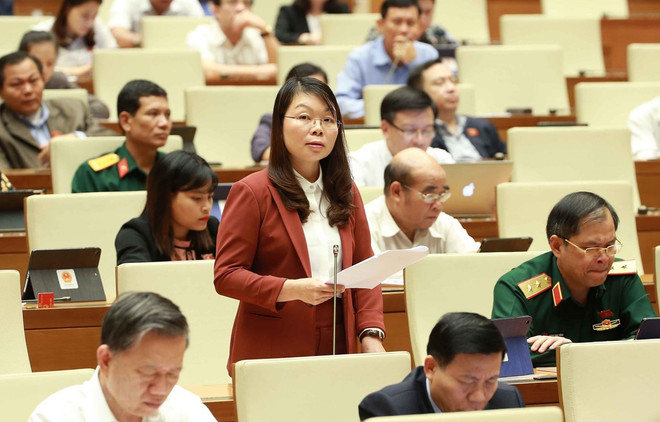 Analizará Parlamento de Vietnam borradores de leyes de milicia y migración ảnh 1