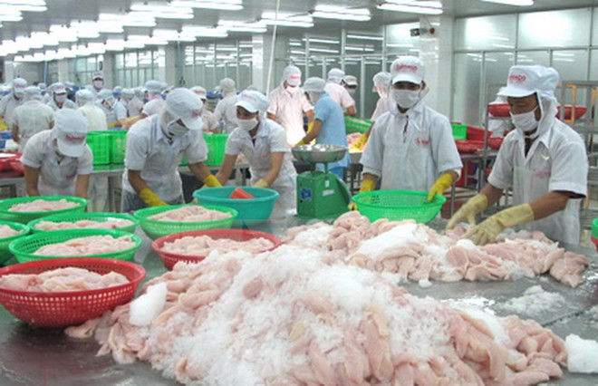 Exportadores de pescados de Vietnam enfrentan dificultades en lograr meta anual ảnh 1 Exportadores de pescados de Vietnam enfrentan dificultades en lograr meta anual ảnh 1