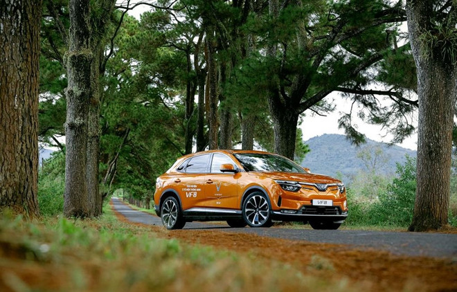 VinFast entrega más de cuatro mil coches eléctricos en diciembre de 2022 ảnh 1 VinFast entrega más de cuatro mil coches eléctricos en diciembre de 2022 ảnh 1