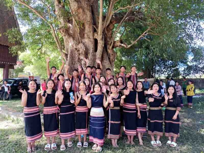 La provincia de Kon Tum prospera con la preservación de la cultura autóctona ảnh 1