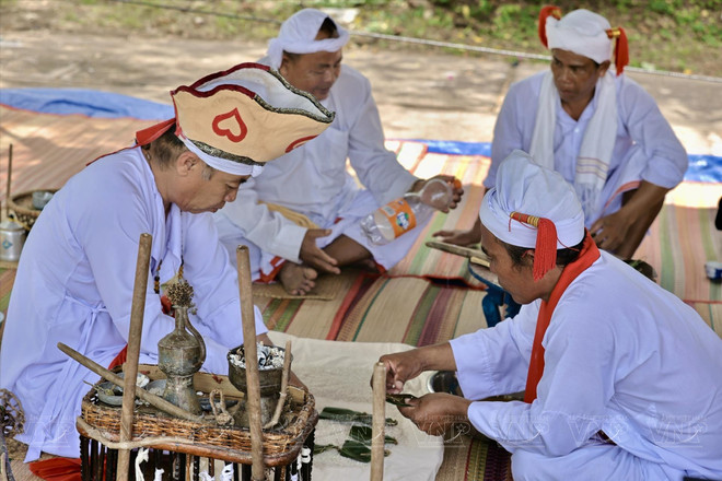 El Festival Kate ảnh 1