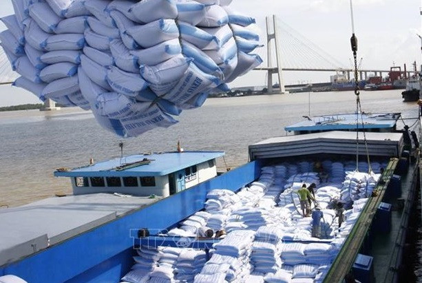 Promueven marca de arroz vietnamita en Australia ảnh 1 Promueven marca de arroz vietnamita en Australia ảnh 1