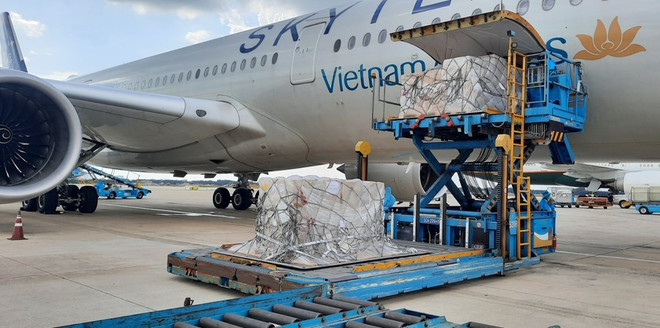 Recibe Vietnam otros 203 mil kits de prueba rápida de COVID-19 de Alemania ảnh 1 Recibe Vietnam otros 203 mil kits de prueba rápida de COVID-19 de Alemania ảnh 1