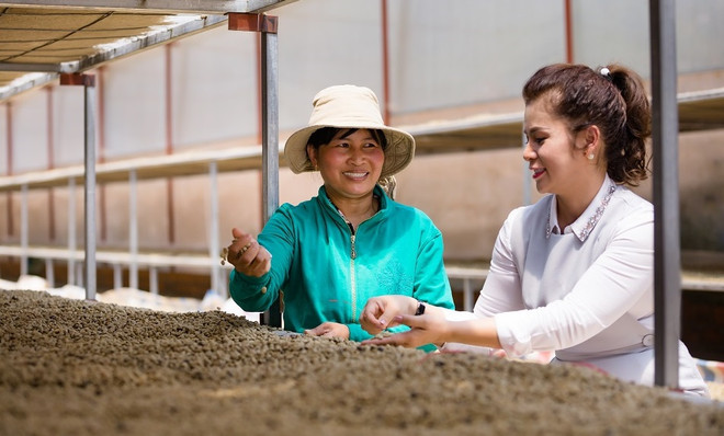 Empresa vietnamita de café busca conectar a proveedores agropecuarios ảnh 1 Empresa vietnamita de café busca conectar a proveedores agropecuarios ảnh 1
