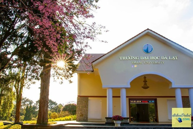 Estudiantes laosianos en provincia vietnamita reciben vacuna contra el COVID-19 ảnh 1