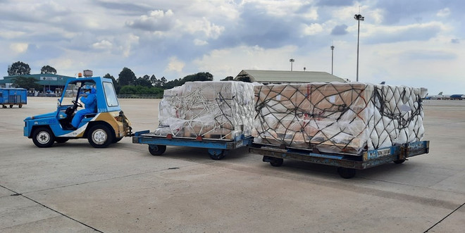 Recibe Vietnam otros 203 mil kits de prueba rápida de COVID-19 de Alemania ảnh 2 Recibe Vietnam otros 203 mil kits de prueba rápida de COVID-19 de Alemania ảnh 2