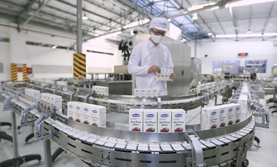 Empresas vietnamitas mantienen negocios en el extranjero pese a pandemia ảnh 1 Empresas vietnamitas mantienen negocios en el extranjero pese a pandemia ảnh 1