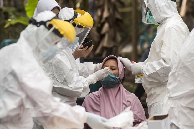 Indonesia mantendrá el suministro y precio de medicamentos contra el COVID-19 ảnh 1 Indonesia mantendrá el suministro y precio de medicamentos contra el COVID-19 ảnh 1