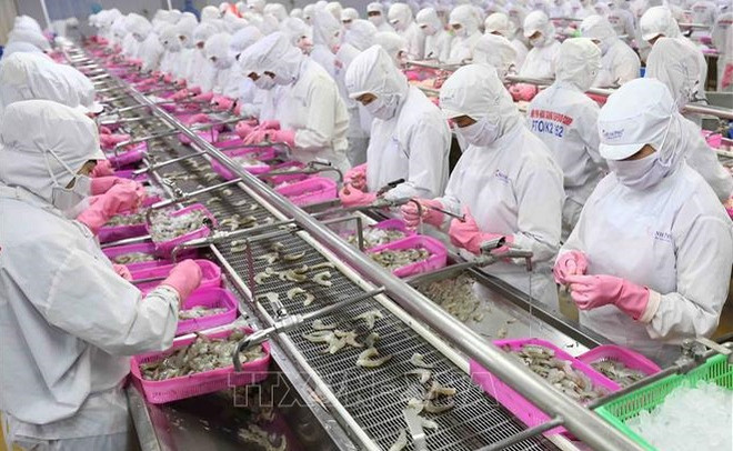 Numerosas empresas chinas interesadas en productos acuáticos vietnamitas ảnh 1 Numerosas empresas chinas interesadas en productos acuáticos vietnamitas ảnh 1