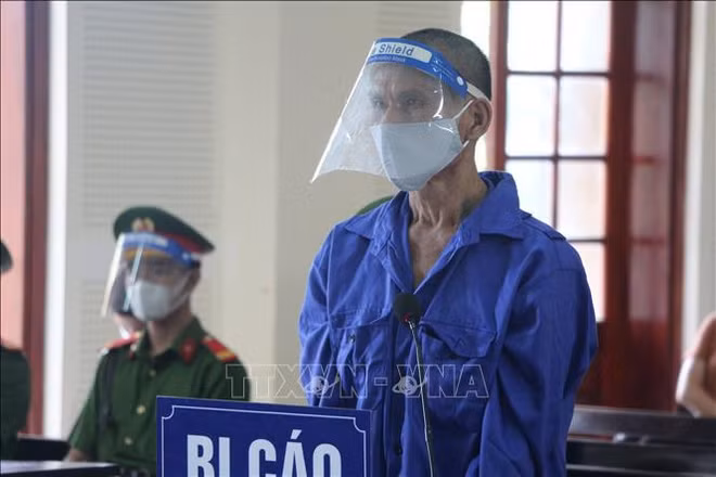 Condenan a individuo con intención de derrocar la administración popular en Vietnam ảnh 1