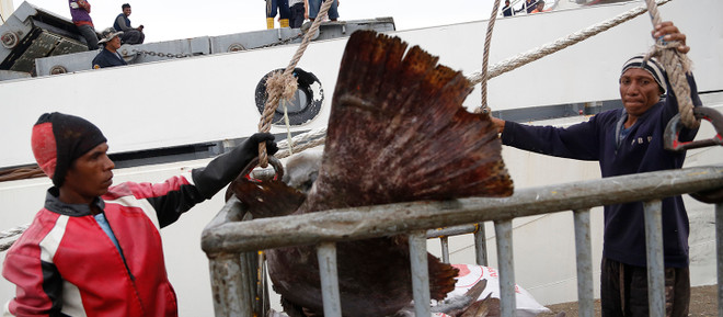 Países sudesteasiáticos intensifican la cooperación contra el tráfico humano ảnh 1 Países sudesteasiáticos intensifican la cooperación contra el tráfico humano ảnh 1