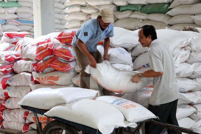 Vietnam busca medidas para construir marca nacional de arroz ảnh 1  Vietnam busca medidas para construir marca nacional de arroz ảnh 1