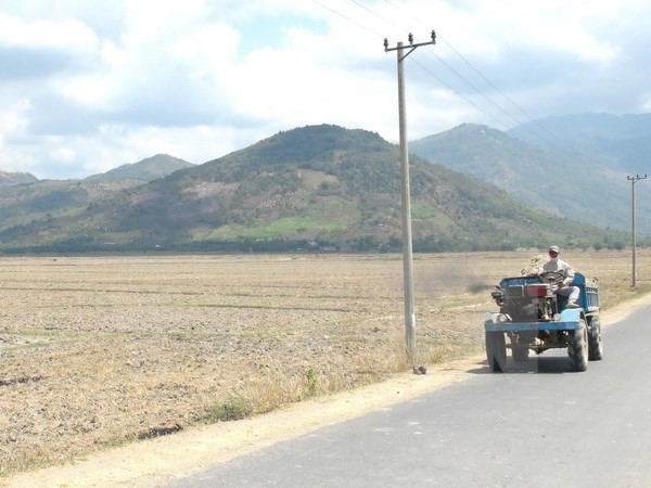 EE.UU. añade 500 mil dólares de ayuda a zonas afectadas por sequía en Vietnam ảnh 1 EE.UU. añade 500 mil dólares de ayuda a zonas afectadas por sequía en Vietnam ảnh 1
