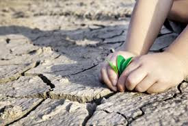 Debaten en Da Nang modelo integrado para desarrollo sostenible en Asia- Pacífico ảnh 1 Debaten en Da Nang modelo integrado para desarrollo sostenible en Asia- Pacífico ảnh 1