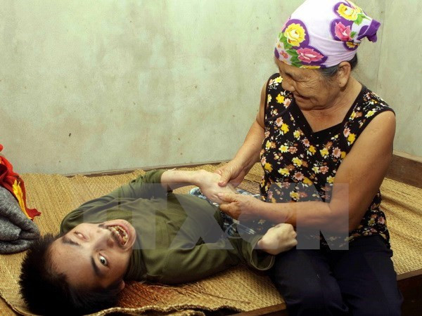 Destacan aportes de Asociación de víctimas vietnamitas del Agente Naranja ảnh 1 Destacan aportes de Asociación de víctimas vietnamitas del Agente Naranja ảnh 1