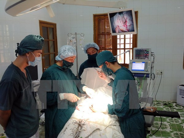 Se aproxima exposición internacional de farmacia Vietnam 2016 ảnh 1 Se aproxima exposición internacional de farmacia Vietnam 2016 ảnh 1