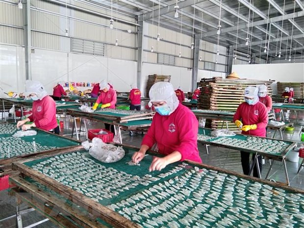 Provincia vietnamita de Phu Tho busca soluciones para recuperación de mercado laboral ảnh 1