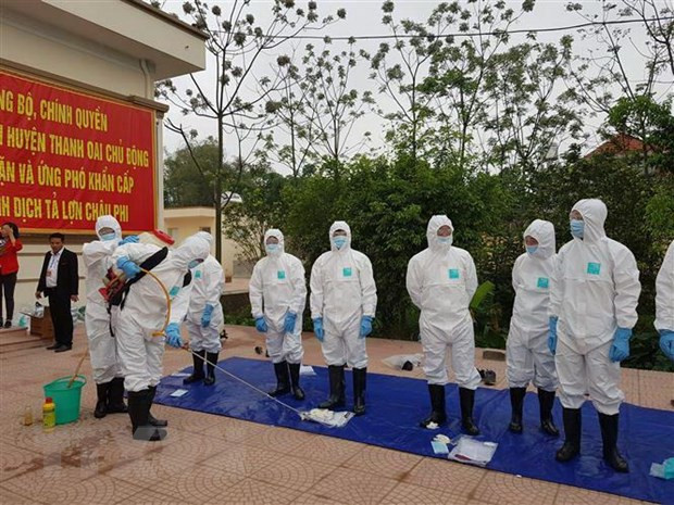 Realizan en Vietnam simulacro de prevención contra epidemia de fiebre porcina ảnh 1 Realizan en Vietnam simulacro de prevención contra epidemia de fiebre porcina ảnh 1