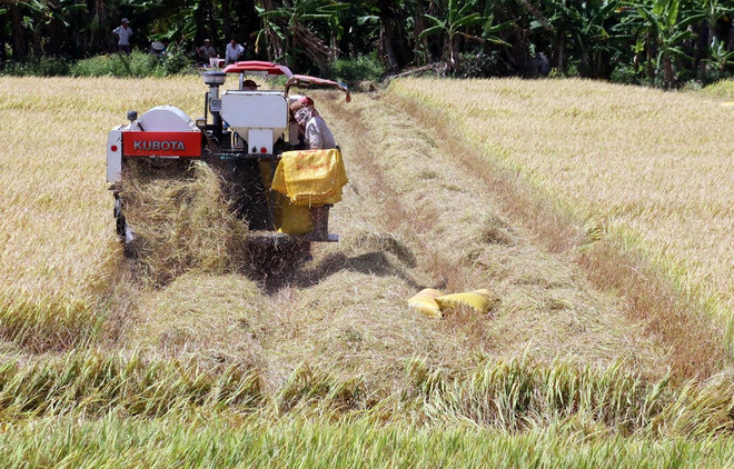 Registra sector agrícola de Vietnam superávit comercial en primeros dos meses del año ảnh 1 Registra sector agrícola de Vietnam superávit comercial en primeros dos meses del año ảnh 1