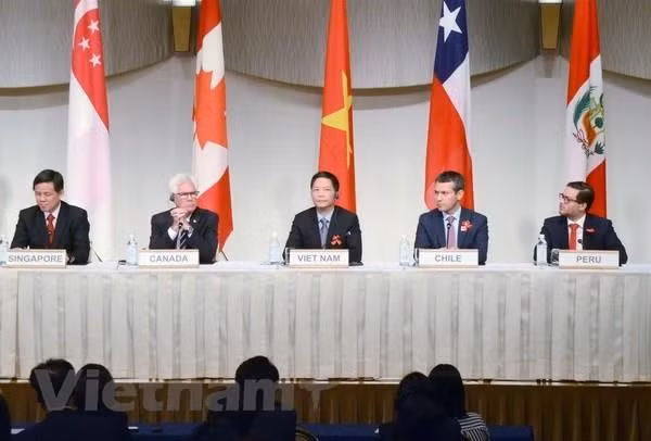 Acelera Vietnam implementación del Acuerdo Transpacífico ảnh 1