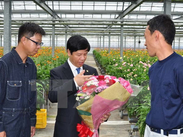 Impulsan cooperación económica Japón – Vietnam ảnh 1