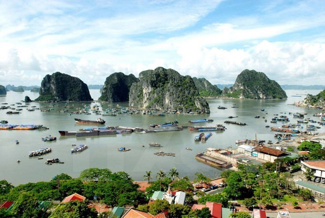 Intensifican programa de protección ambiental en Bahía de Ha Long ảnh 1 Intensifican programa de protección ambiental en Bahía de Ha Long ảnh 1