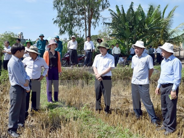 Proyecto gubernamental beneficia a familias pobres en Vietnam ảnh 1