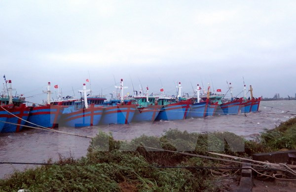 Kien Giang dedica atención a residentes en zonas fronterizas, marítimas, insulares ảnh 1