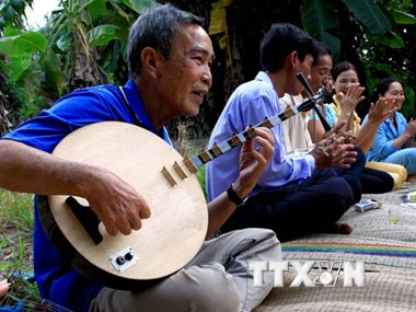 Vietnam promueve preservación y desarrollo de valores de Don ca tai tu ảnh 1