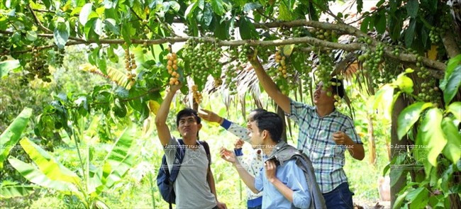 UNESCO recomienda a ciudad vietnamita desarrollar turismo comunitario ảnh 1