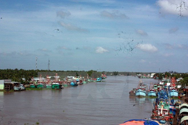 Rescatan a pescadores vietnamitas accidentados en el mar ảnh 1 Rescatan a pescadores vietnamitas accidentados en el mar ảnh 1