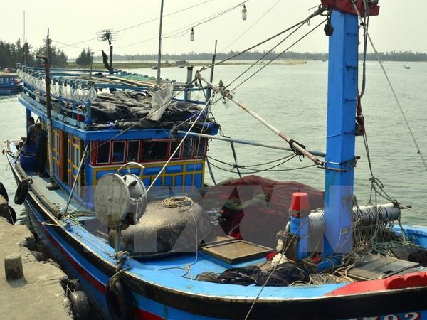 Rescatan a pescador filipino accidentado en el mar de Vietnam ảnh 1