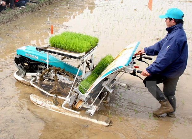 JICA asiste a desarrollo rural en provincia de Vietnam ảnh 1