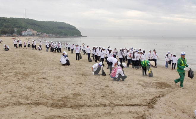 Vietnam enfrenta riesgo de desertificación del mar ảnh 1 Vietnam enfrenta riesgo de desertificación del mar ảnh 1