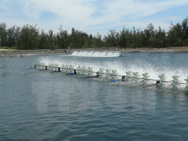 Provincia vietnamita fija meta de ingresar mil millones de dólares de exportaciones ảnh 1 Provincia vietnamita fija meta de ingresar mil millones de dólares de exportaciones ảnh 1