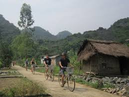 Pueblo apacible Hai Phong atrae turistas ảnh 1 Pueblo apacible Hai Phong atrae turistas ảnh 1