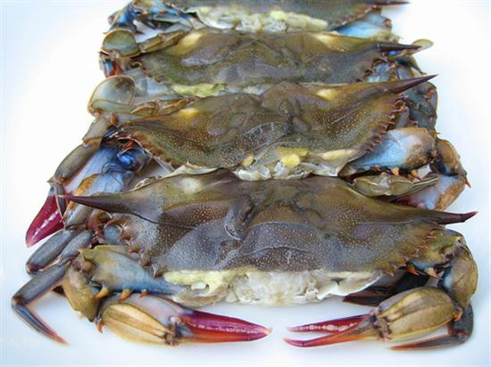 Provincia vietnamita desarrolla marca de cangrejo blando ảnh 1 Provincia vietnamita desarrolla marca de cangrejo blando ảnh 1