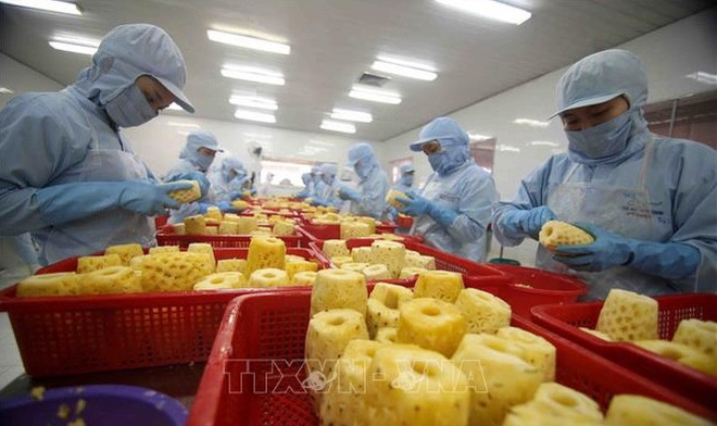 Analizan impactos del conflicto entre Rusia y Ucrania en exportación de productos agrícolas vietnamitas ảnh 1