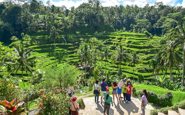 Indonesia levantará cuarentena para viajeros que lleguen a Bali a partir del 14 de marzo ảnh 1 Indonesia levantará cuarentena para viajeros que lleguen a Bali a partir del 14 de marzo ảnh 1