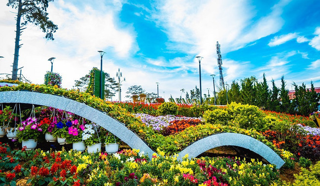 Efectuarán en Vietnam IX Festival de flores Da Lat a finales de 2022 ảnh 1 Efectuarán en Vietnam IX Festival de flores Da Lat a finales de 2022 ảnh 1