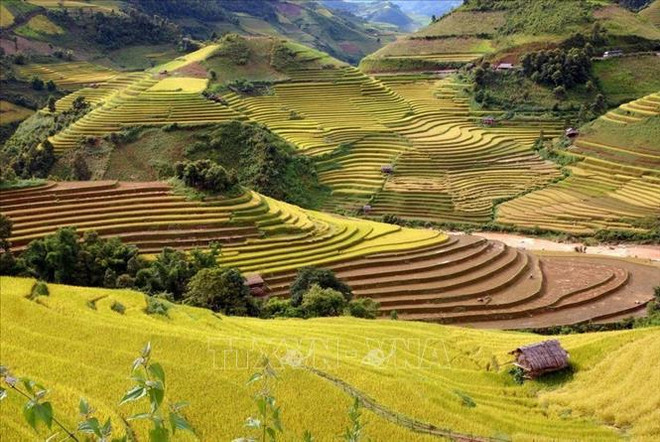 Periódico alemán resalta Vietnam como uno de los países más hermosos de Asia ảnh 4 Periódico alemán resalta Vietnam como uno de los países más hermosos de Asia ảnh 4