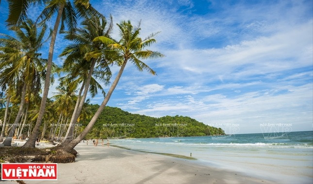 Periódico alemán resalta Vietnam como uno de los países más hermosos de Asia ảnh 1 Periódico alemán resalta Vietnam como uno de los países más hermosos de Asia ảnh 1