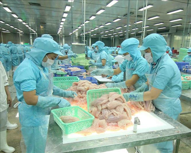 Vietnam reporta superávit de balanza comercial agrícola ảnh 2 Vietnam reporta superávit de balanza comercial agrícola ảnh 2
