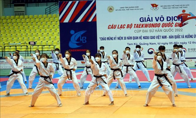 Torneo de taekwondo conmemora 30 años de lazos Vietnam-Corea del Sur ảnh 1