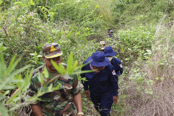 Provincia vietnamita se esmera en repatriar restos de soldados voluntarios caídos en Camboya ảnh 1 Provincia vietnamita se esmera en repatriar restos de soldados voluntarios caídos en Camboya ảnh 1