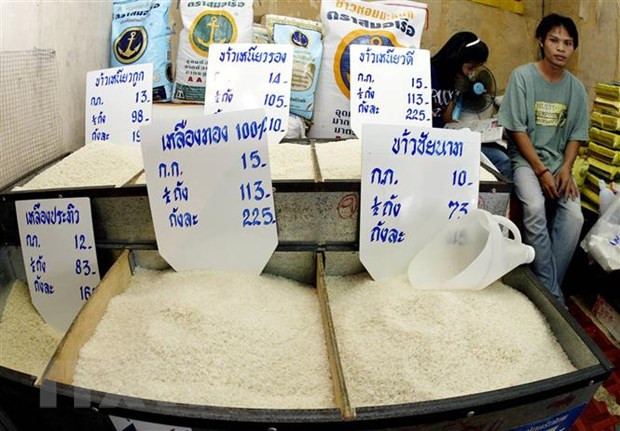 Prevén aumento de precio de arroz tailandés en segundo trimestre de 2022 ảnh 1