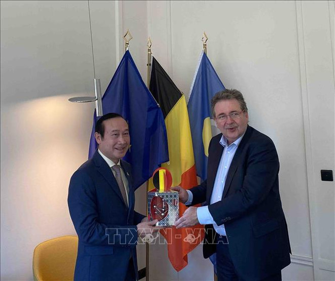Región belga busca una cooperación más fuerte con localidades vietnamitas ảnh 1 Región belga busca una cooperación más fuerte con localidades vietnamitas ảnh 1