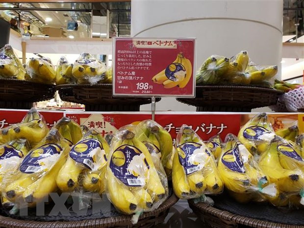 Productos alimenticios Vietnam acaparan atención del público japonés ảnh 1 Productos alimenticios Vietnam acaparan atención del público japonés ảnh 1