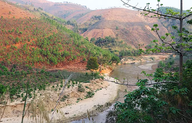 Publican en Vietnam estadísticas sobre recursos de suelo ảnh 1