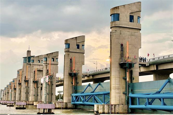 Premier vietnamita asiste a la inauguración de obras de riego Cai Lon-Cai Be ảnh 1